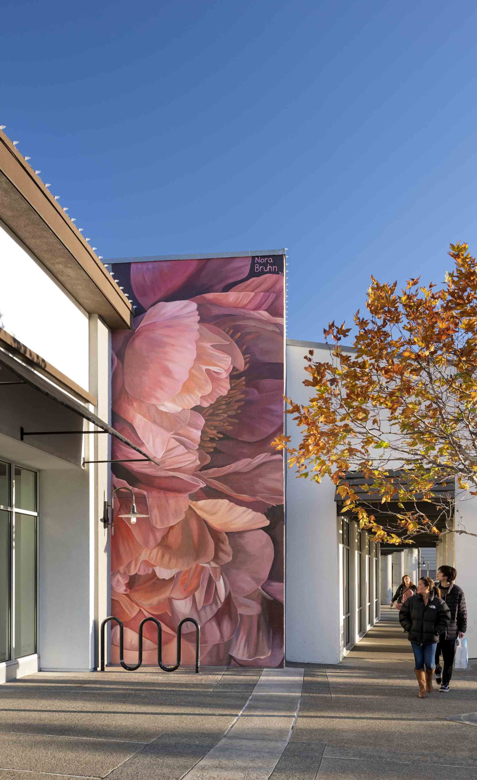 Floral art mural at Vintage Oaks by Nora Bruhn