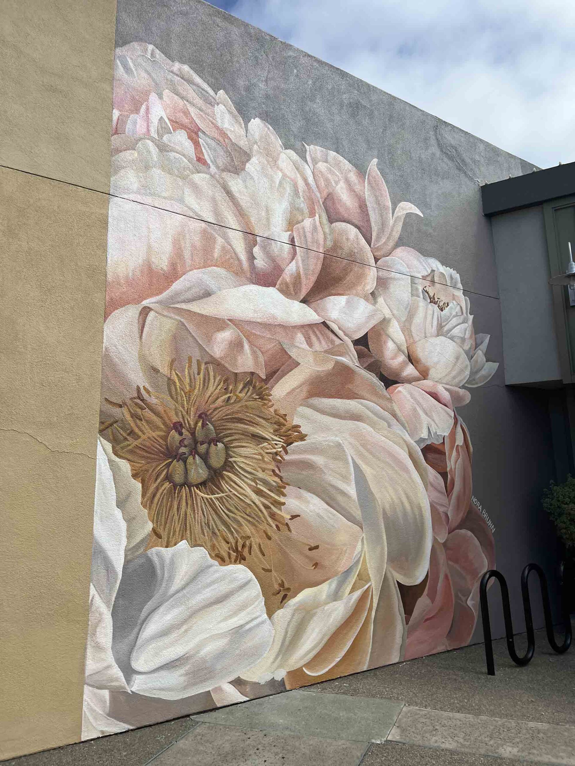 Floral art mural at Vintage Oaks by Nora Bruhn